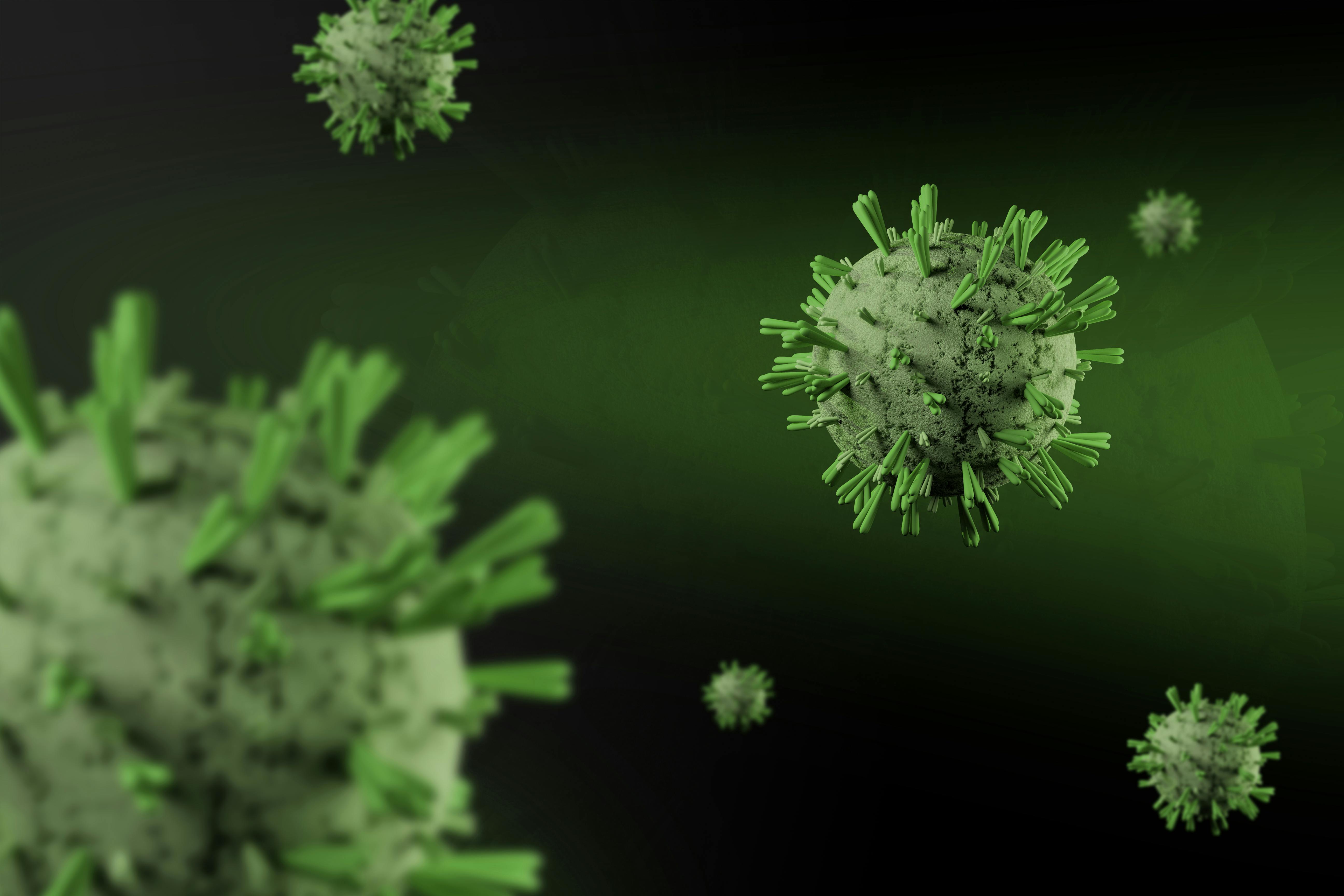 Le virus Marburg pourrait contaminer des personnes innocentes à Madrid, en Espagne, si rien n'est fait avant le 30 juillet 2025 .
